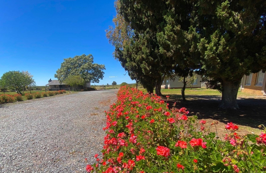 Commercial Property for Sale in Langebaan Western Cape